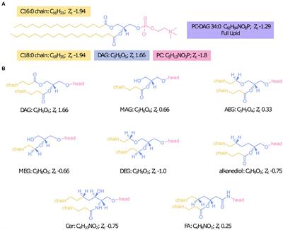 Intact polar lipidome and membrane adaptations of microbial communities inhabiting serpentinite-hosted fluids